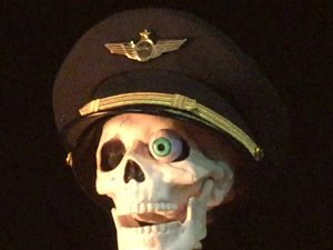 58. Pilots Hat and Wings